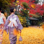 どこに売る？福岡県の着物買取業者16社を比較！おすすめランキングTOP5！