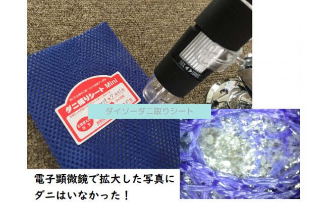 daiso-danitori8