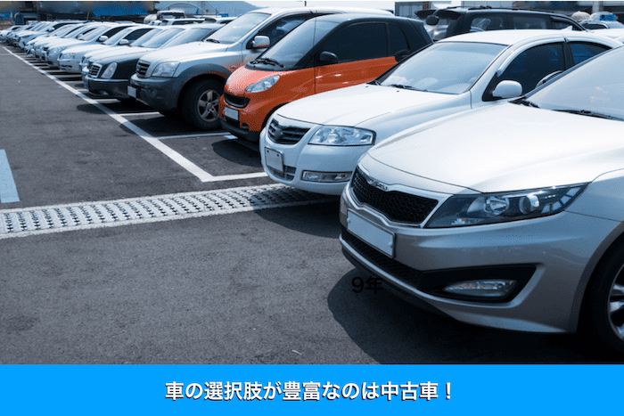 車の選択肢