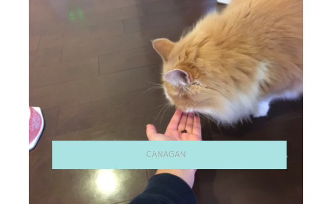 canagan3