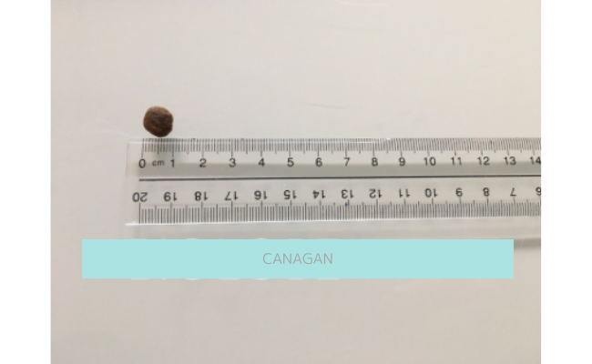 canagan6