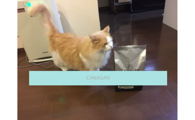 canagan7