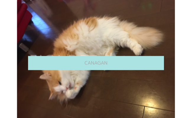 canagan8