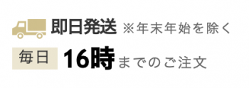 チャップアップの即日発送についての説明画像
