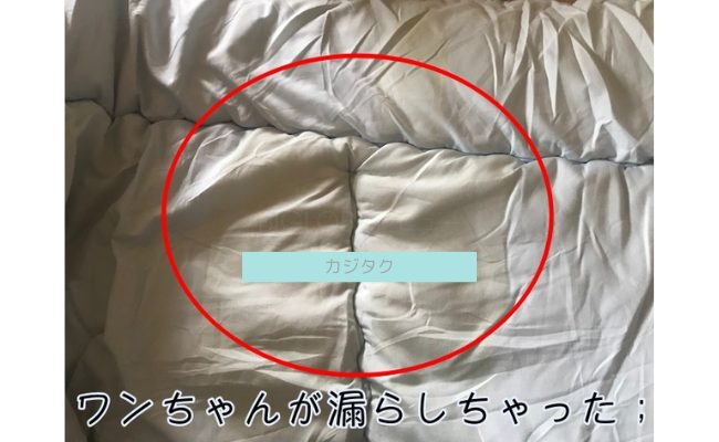 kajitaku9