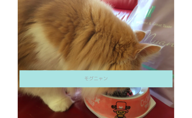 mogunyan3