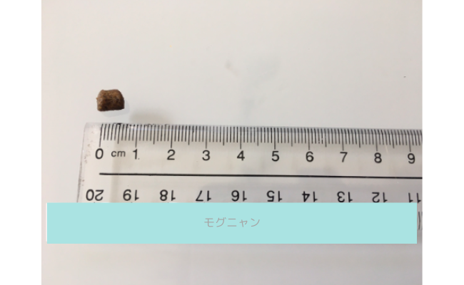 mogunyan5