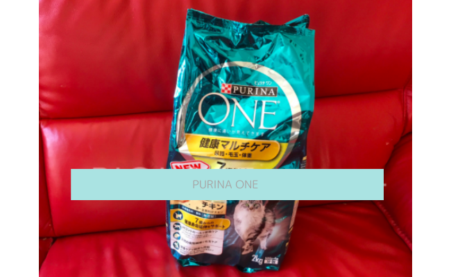 purina-one1