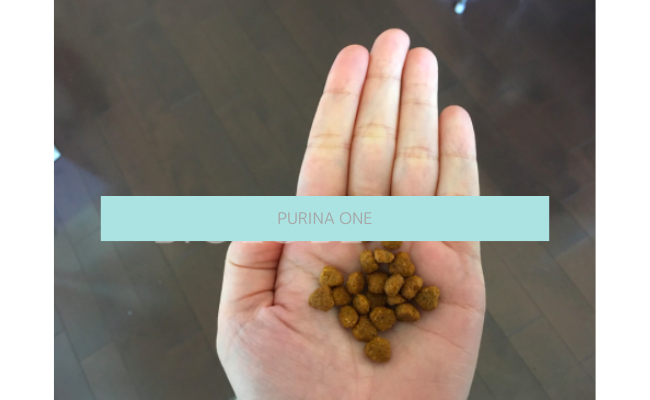 purina-one5