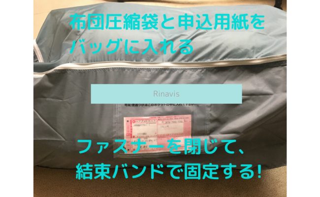 Rinavis11