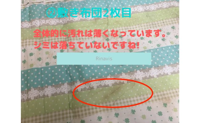 Rinavis17