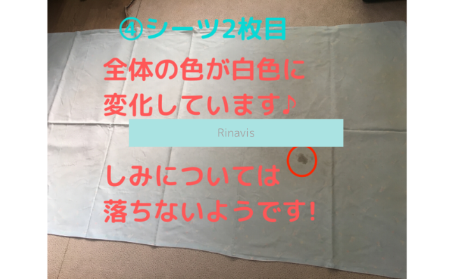 Rinavis20