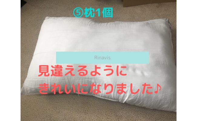 Rinavis22