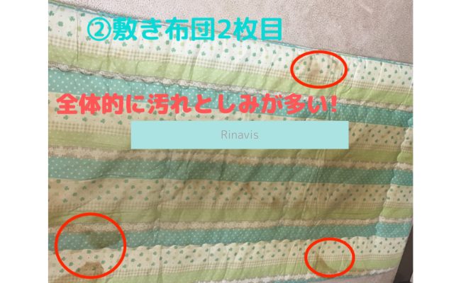 Rinavis5