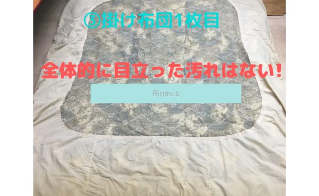 Rinavis6