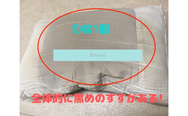 Rinavis8