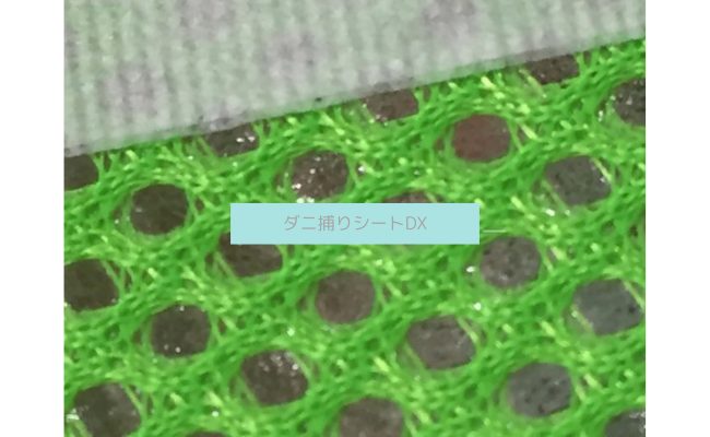 danitoriDX-10