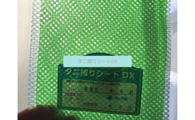danitoriDX-5