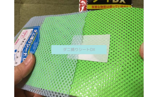 danitoriDX-9