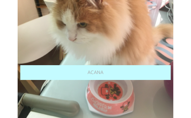acana3