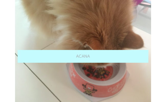 acana4