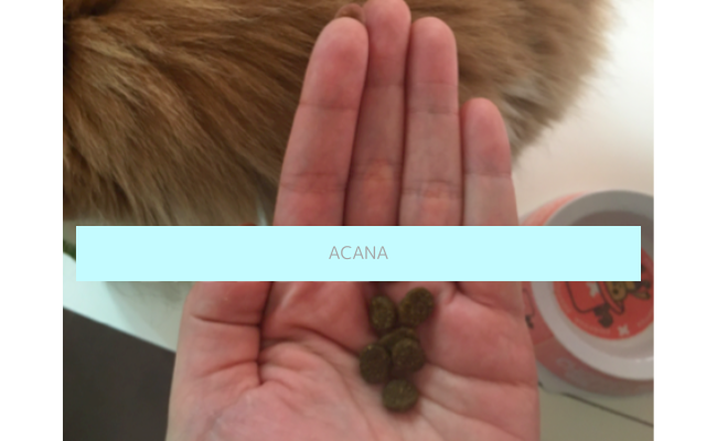acana5