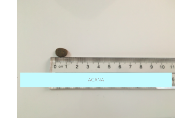acana6