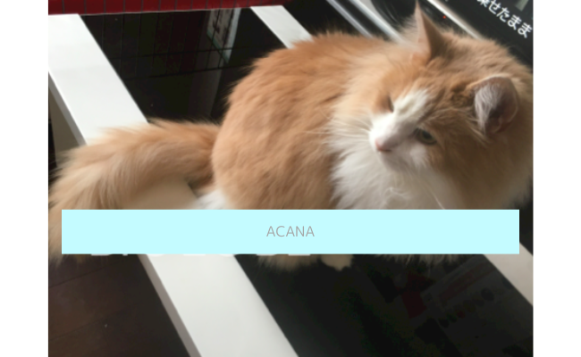 acana8