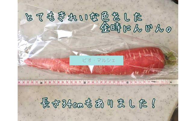 biomarche9
