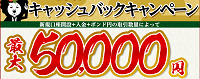 ヒロセ通商(LION FX)