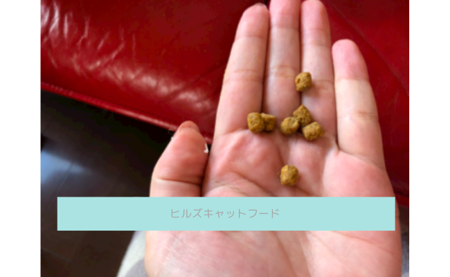 hiruzu4