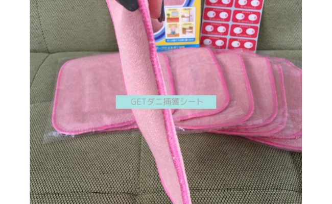 get-dani4