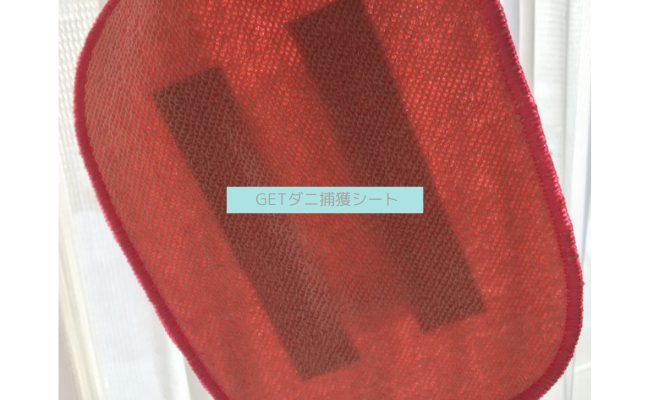 get-dani6