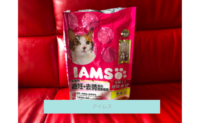 iams1