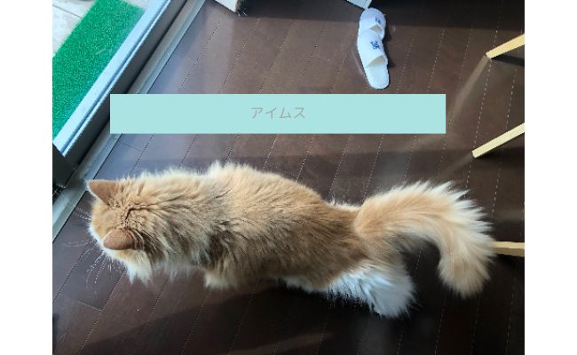 iams7