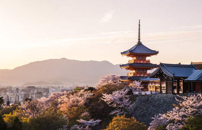 【14社を徹底比較】京都で利用できるおすすめの古銭買取業者ランキングTOP5!