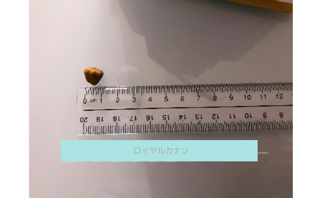 roiyarukanan6