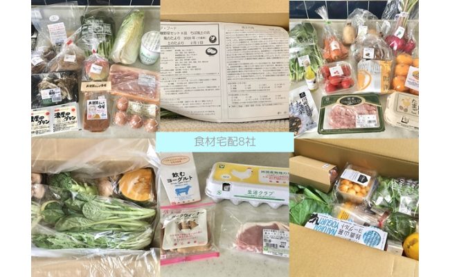 実際に体験した食材宅配8社のお試しセットを比較!