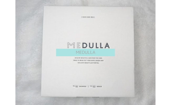 MEDULLA1