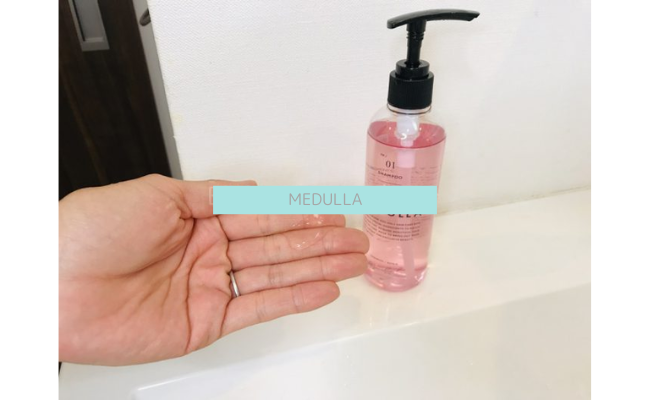 MEDULLA7
