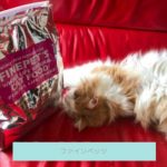 【評判どう？】ファインペッツキャットフードを愛猫に与えてみた私の口コミ！