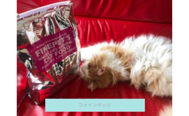 【評判どう？】ファインペッツキャットフードを愛猫に与えてみた私の口コミ！