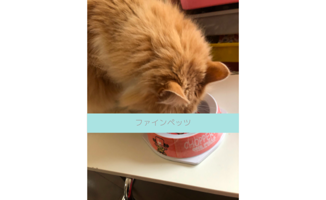 finepets3