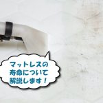 カビの生えたマットレスを掃除