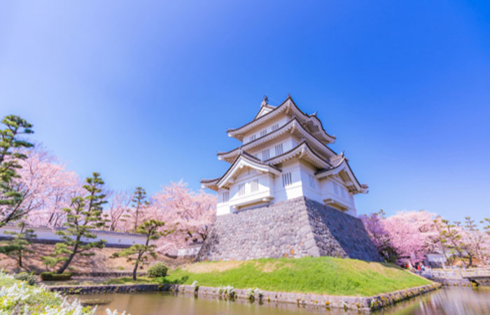 埼玉県から利用できる古銭買取業者17社を徹底比較!TOP5の買取業者は?