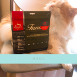 【評判どう？】オリジンキャットフードを愛猫に与えてみた私の口コミ！