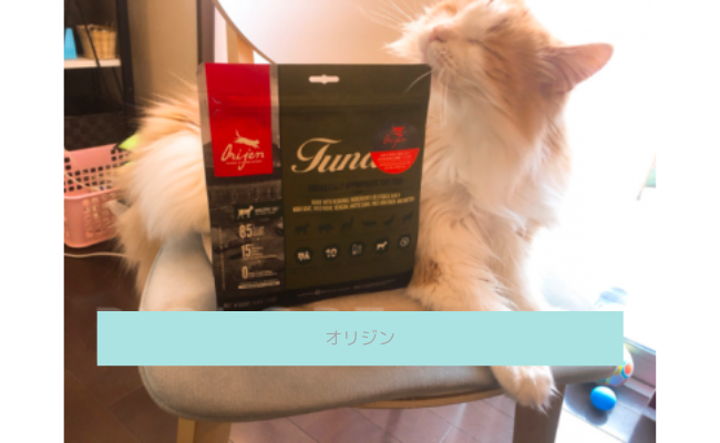【評判どう？】オリジンキャットフードを愛猫に与えてみた私の口コミ！