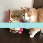 【評判どう？】ニュートロキャットフードを愛猫に与えてみた私の口コミ！