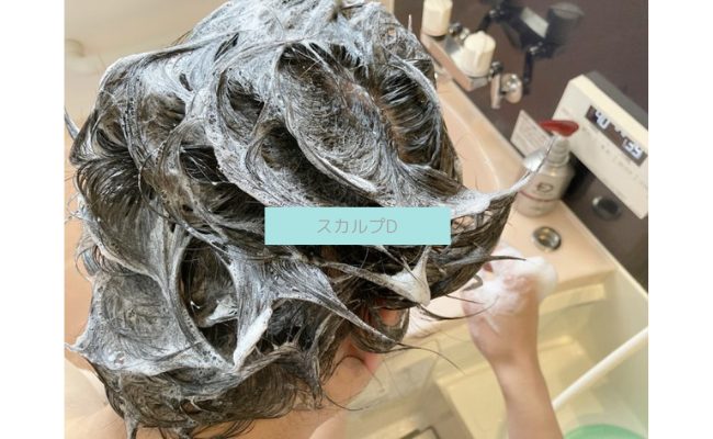 scalp-d9