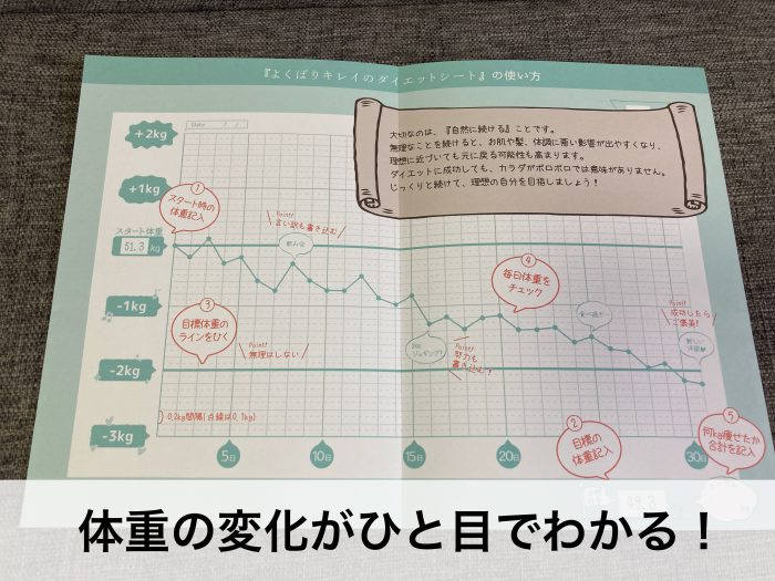 よくばりキレイの生酵素体重グラフ